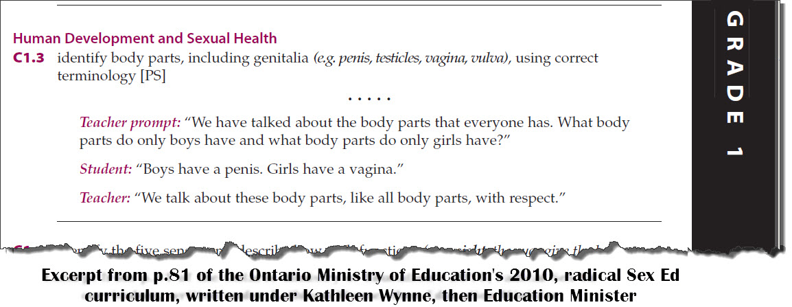 Ontario S Radical Sex Ed Curriculum Campaign Life Coalition