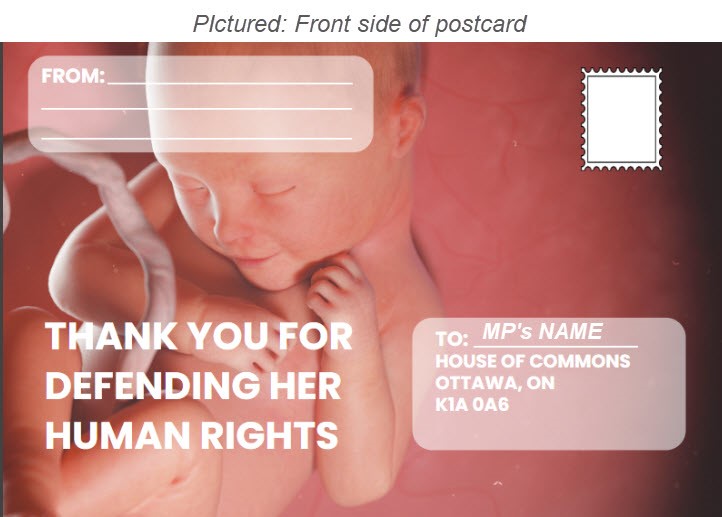 Appreciation Postcard to Pro-Life MPs